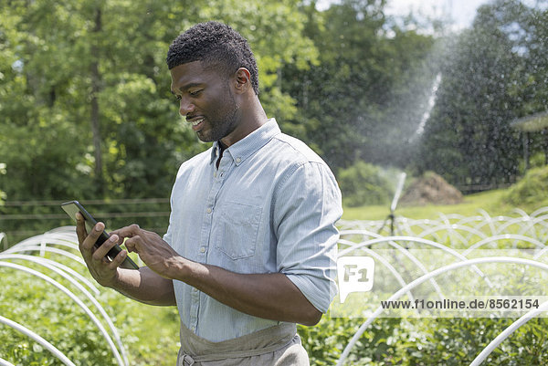 Eine biologische Gartenbau-Gärtnerei und Farm außerhalb von Woodstock. Ein Mann benutzt ein digitales Tablett.