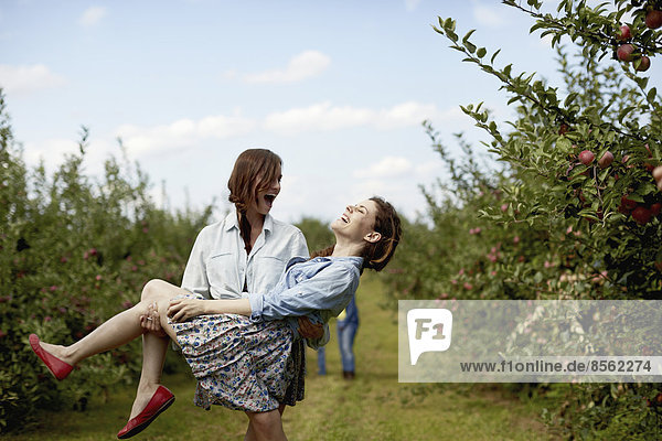Reihen von Obstbäumen in einem biologischen Obstgarten. Zwei junge Frauen lachen  die eine trägt die andere.
