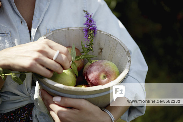 A woman holding a pottery bowl with fresh picked apples and a small foxglove flower.