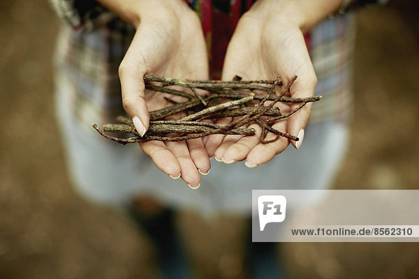 A person's hands holding a small bunch of twigs  kindling for the camp fire.