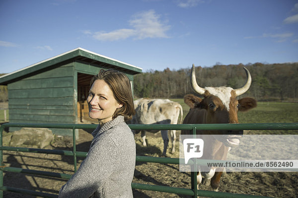 Tierschutzgebiet. Eine Frau neben dem Zaun  die zwei Kühe füttert.