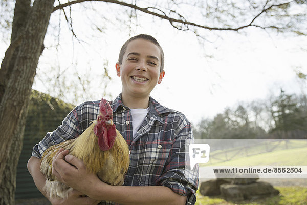 Ein Tierschutzgebiet. Ein Junge hält ein Huhn mit braunen Federn und rotem Hahnenkamm.