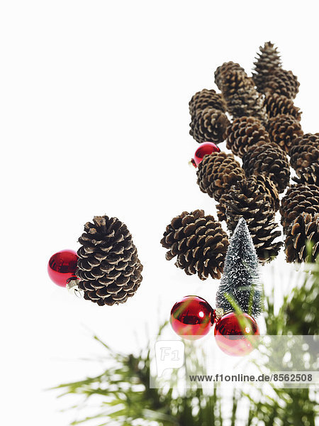 Stilleben. Grünes Blattwerk und Dekorationen. Ein Kiefernzweig mit grünen Nadeln. Weihnachtsschmuck. Tannenzapfen und kleine rot glänzende Ornamente.