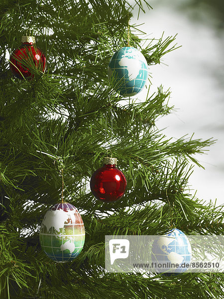 Stilleben. Grünes Blattwerk und Dekorationen. Ein Kiefernzweig mit grünen Nadeln. Weihnachtsschmuck. Eine kleine Gruppe von rotem und blauem Baumschmuck. Längliche Formen mit Kontinente auf blauem Hintergrund.