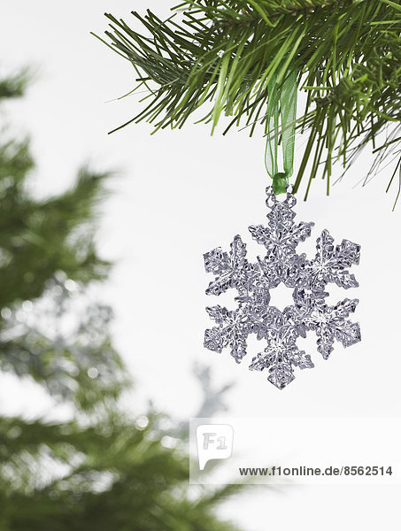 Stilleben. Grünes Blattwerk und Dekorationen. Ein Kiefernzweig mit grünen Nadeln. Weihnachtsschmuck. Eine silberne Eiszapfenform  die an einem Baum hängt.