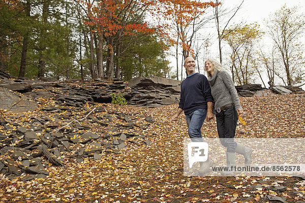 A couple  man and woman on a day out in autumn walking through fallen leaves. Holding hands.