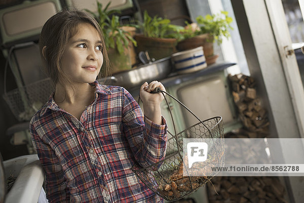 Ein junges Mädchen in einer Hausküche  das einen Metallarbeitskorb mit frischen Karotten in der Hand hält.