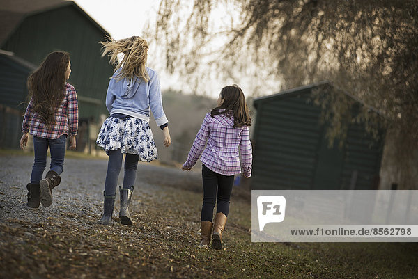 Three children walking along a path on an organic farm.