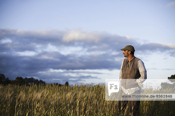 A man standing looking over the crops and fields at the Homeless Garden Project in Santa Cruz  at sunset.