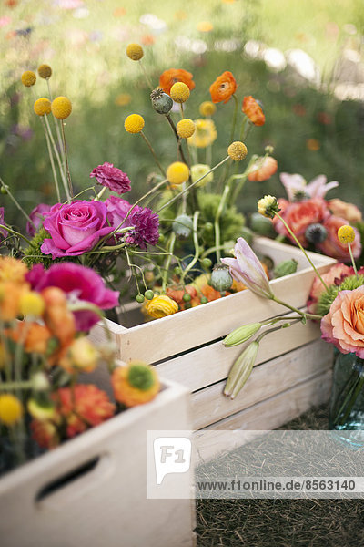 Dekorationen für den Hochzeitstisch. Ein Holzkasten mit frischen Blumen  zarten und farbenfrohen Blüten. Orange  Rosa und Violett.