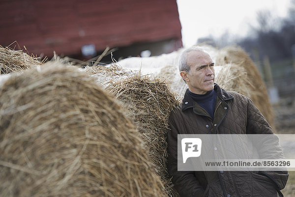 An organic farm in winter. A man standing beside large hay bales.