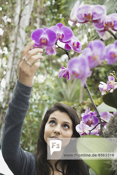 Eine junge Frau streckt die Hand aus  um eine Orchidee zu bewundern  die in einem Gewächshaus in einem botanischen Garten in New York City wächst.