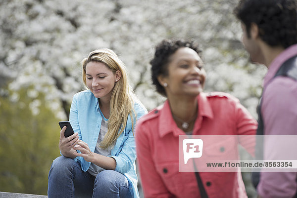 Outdoors in New York City in spring time. New York City park. White blossom on the trees. A woman sitting on a bench holding her mobile phone. A couple beside her.
