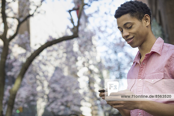 Stadtleben. Ein junger Mann im Frühling im Park  der ein Mobiltelefon benutzt.