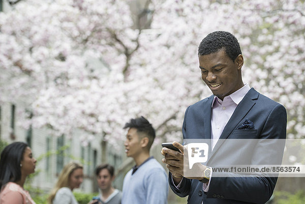 Stadtleben im Frühling. Jugendliche im Freien in einem Stadtpark. Ein Mann überprüft sein Handy. Vier Menschen im Schatten eines Kirschblütenbaums.