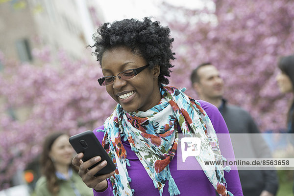 A group of people under the cherry blossom trees in the park. A young woman smiling and checking her phone.