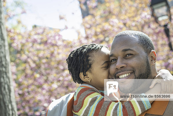 Ein New Yorker Stadtpark im Frühling. Sonnenschein und Kirschblüte. Vater und Sohn umarmen sich im Park.