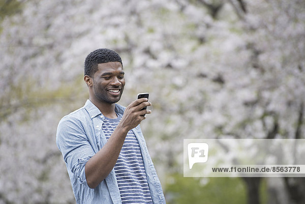 Draußen in der Stadt im Frühling. Ein urbaner Lebensstil. Ein Mann  der unter einem blühenden Baum steht und auf sein Telefon schaut.