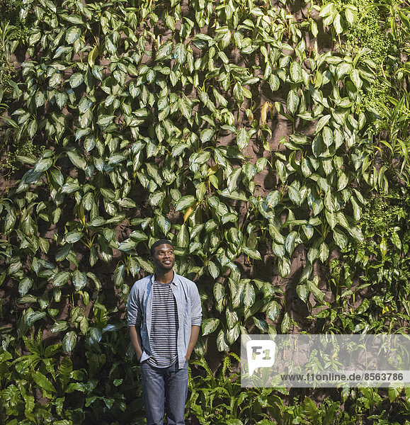 Draußen in der Stadt im Frühling. Ein urbaner Lebensstil. Ein Mann blickt auf eine hohe Wand  die mit Kletterpflanzen und Laub bedeckt ist.
