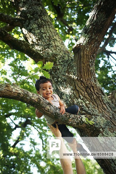 Person  die dem Jungen hilft  auf den Baum zu klettern
