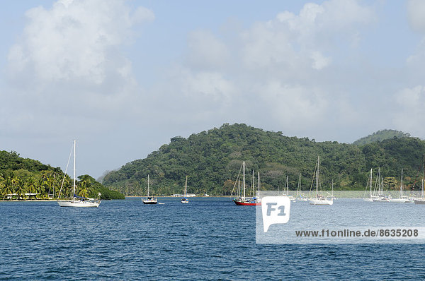 Sailboats in the bay of Isla Lintón  Colón  Caribbean  Panama