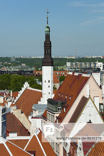 View from Toompea Hill to the Lower Town with the Town Hall  historic centre  Tallinn  Estonia  Baltic States