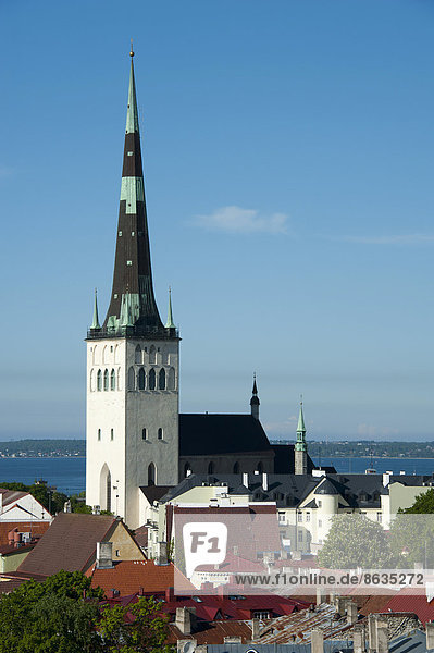 Ausblick vom Domberg Olaikirche Tallinn Estland Baltikum