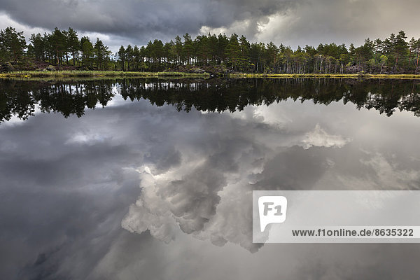 Näveretjärn See mit dramatischer Wolkenstimmung und Spiegelung  Nationalpark Tresticklan  Dalsland  Västra Götaland  Schweden