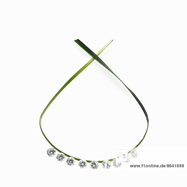 Ein dünnes grünes Bandblatt in einer Schleife mit kleinen funkelnden  mit Edelsteinen geschliffenen Klarglasperlen. Eine Halskette mit natürlicher Haptik.