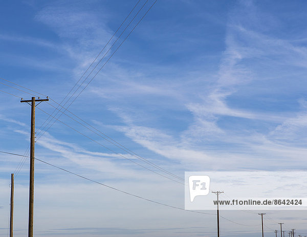 Telefon- und Strommasten in einer Linie quer durch die Landschaft bei Belridge  Kalifornien.