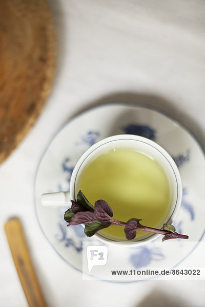 Eine Tasse Tee  klarer farbiger Tee in einer Porzellantasse  mit einem Zweig aromatischer Minze.