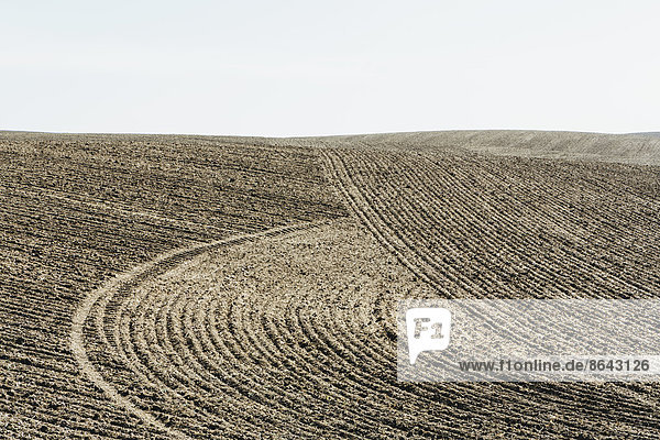 Gepflügte Erdfurchen  Muster auf der Bodenoberfläche auf Ackerland in der Nähe von Pullman  Washington  USA