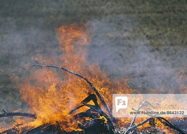 Flames and smoke rising from a heap of wood burning fiercely in a field near Pullman  Washington  USA