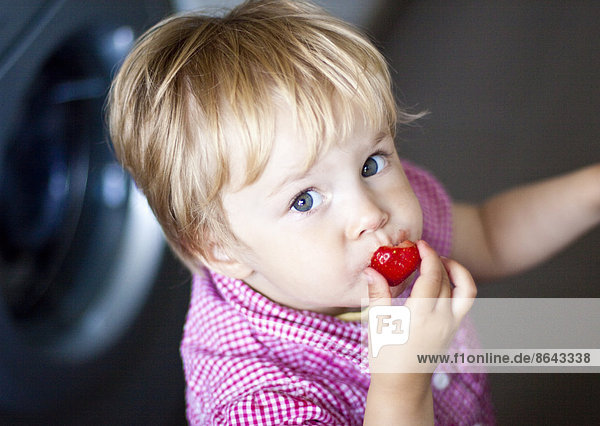 Blondes Mädchen isst eine Erdbeere,  Portrait