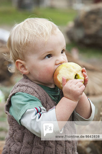Baby Junge isst Apfel  schaut weg