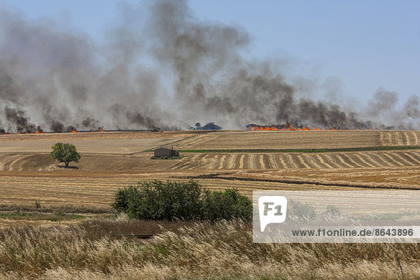 Blick auf Felder und Waldbrand im Hintergrund