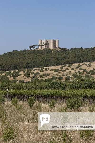 Blick auf grüne Bäume und Castel Del Monte  Apulien  Italien