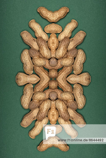 Digitaler Verbund von Spiegelbildern einer Anordnung von Erdnüssen