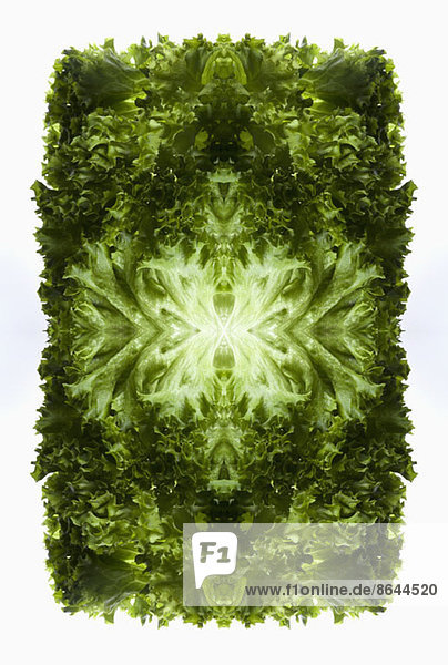 Ein digitaler Verbund von Spiegelbildern grüner Blattsalatblätter