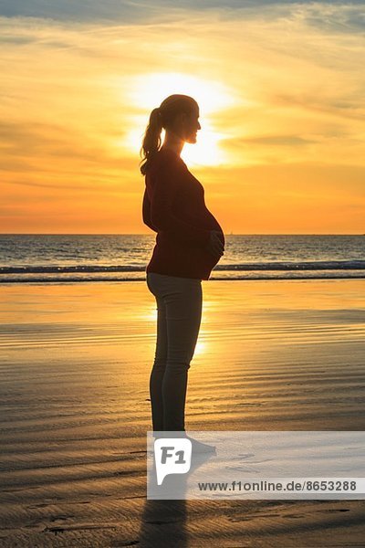 Schwangere mittlere erwachsene Frau am Strand bei Sonnenuntergang  San Diego  Kalifornien  USA