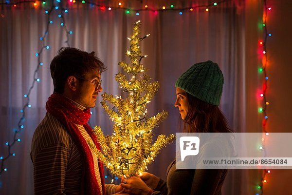 Junges Ehepaar hält beleuchteten Weihnachtsbaum
