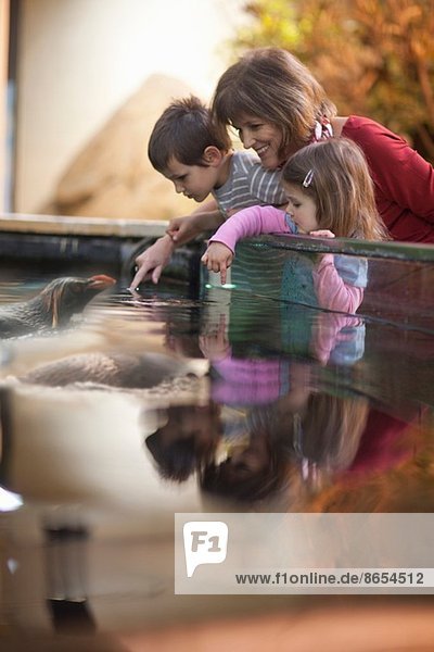 Junge Enkelkinder und Großmutter beobachten Pinguin im Zoo