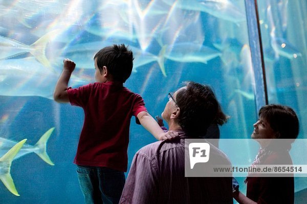 Kleine Kinder und Großeltern beim Betrachten von Fischen im Aquarium