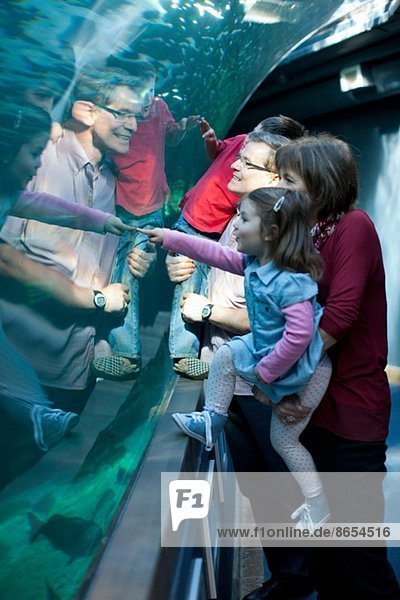 Enkelkinder und Großeltern beim Betrachten von Fischen im Aquarium