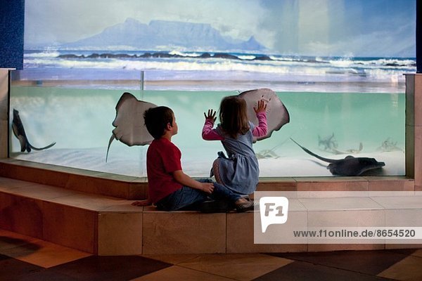 Junge Geschwister beim Betrachten von Stachelrochen im Aquarium