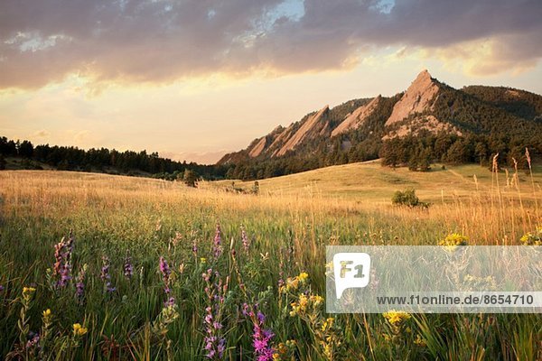 Scenic view of meadow and mountains  Boulder  Colorado  USA