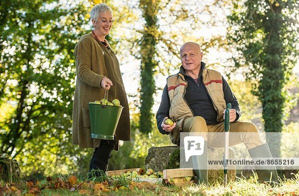 Seniorenpaar macht eine Pause im Obstgarten