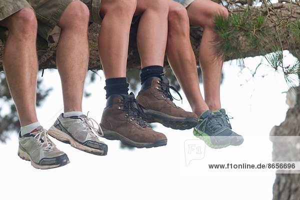 Legs of three male hikers sitting on tree branch