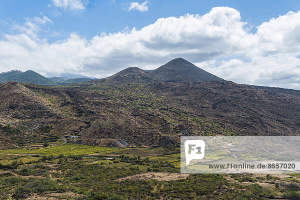Plantagen bei Santiago del Teide  Vulkanlandschaft  Teneriffa  Kanarische Inseln  Spanien