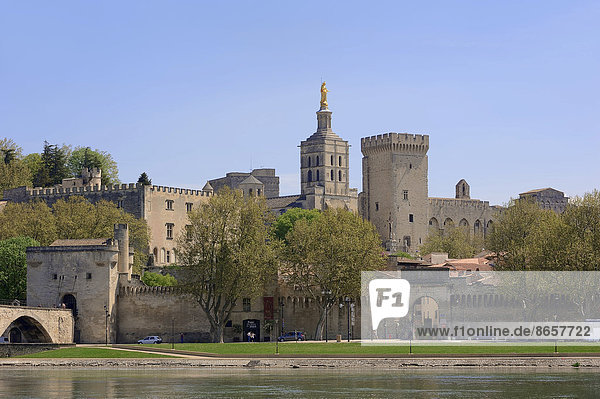 Frankreich Kathedrale Palast Schloß Schlösser Provence - Alpes-Cote d Azur Avignon Vaucluse Südfrankreich